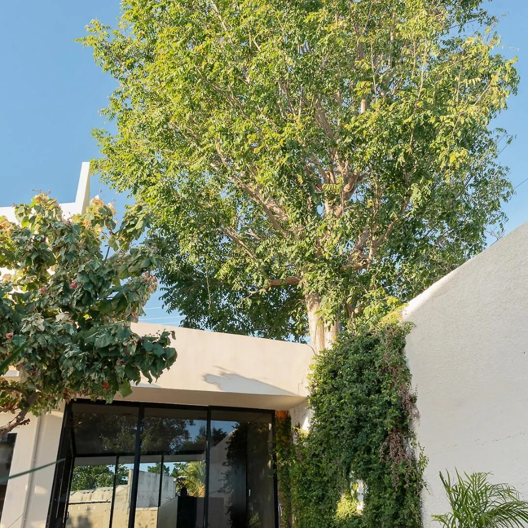 Hotel Nikche Mérida